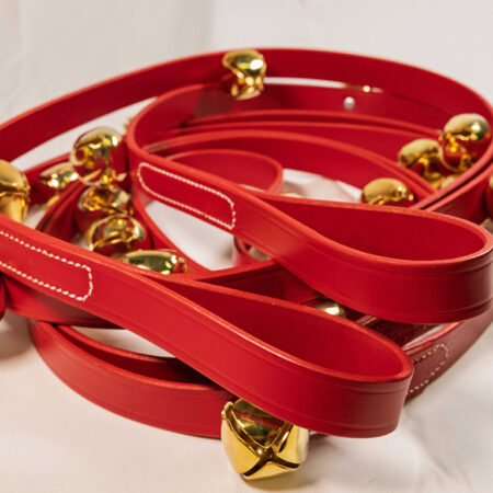 Red Reindeer Sleigh Ride Harness